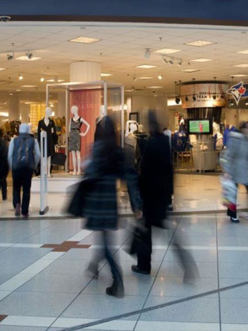 comportamiento del consumidor